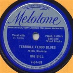 last ned album Big Bill - Terrible Flood Blues Southern Flood Blues