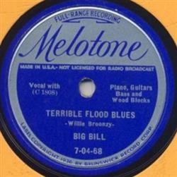 Download Big Bill - Terrible Flood Blues Southern Flood Blues