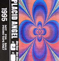 descargar álbum Placid Angel - 1995 After Hour 03