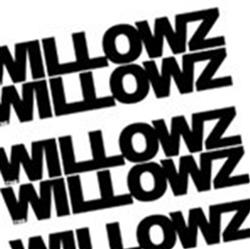 descargar álbum The Willowz - Equation 6 Questionaire