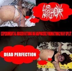 last ned album Stilnox Dead Perfection - Experimental Observations On Adipocere Formation 2 Way Split