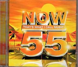 Download Various - Now Thats What I Call Music 55