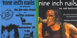 Album herunterladen Nine Inch Nails, Marilyn Manson - Mr Self Destruct