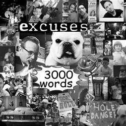 écouter en ligne The Excuses - 3000 Words