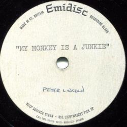 ouvir online Peter Lincoln - My Monkey Is A Junkie