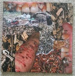 last ned album Mania Deterge - Lay Waste Future of Pulse