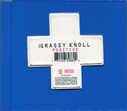 lataa albumi The Grassy Knoll - Positive