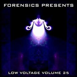 Download Various - Forensics Presents Low Voltage Volume 25