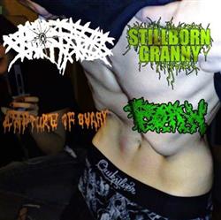 Download Stillborn Granny PxOxRxNx Whoreanus - Split