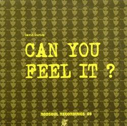 Download David Duriez - Can You Feel It