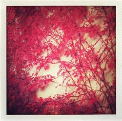 last ned album Philip Bader & Niconé - Autumn Baby