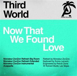 Album herunterladen Third World - Now That We Found Love Monsieur Zonzon Remixes