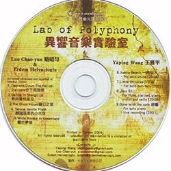 télécharger l'album Luo ChaoYun & Erdem Helvacioglu Yaping Wang - Lab Of Polyphony
