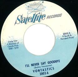 Download Vontastics - Ill Never Say Goodbye Dont Mess Around