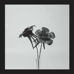 descargar álbum Jlin - Dark Lotus