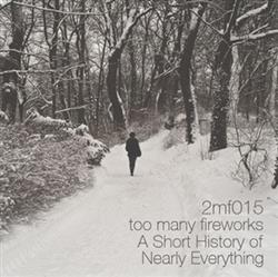 last ned album Various - Too Many Fireworks A Short History Of Nearly Everything