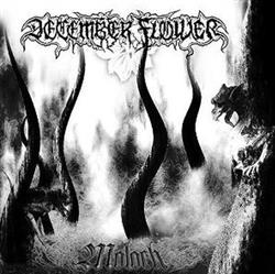 Download December Flower - Moloch