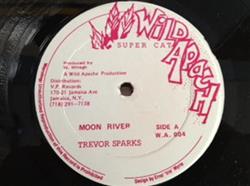 ouvir online Trevor Sparks - Moon River