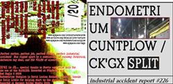 last ned album Endometrium Cuntplow CK'GX - Industrial Accident Report 226