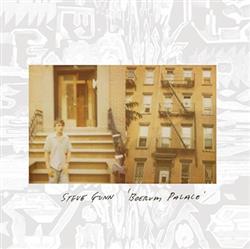 Download Steve Gunn - Boerum Palace