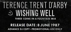 Album herunterladen Terence Trent D'Arby - Wishing Well Three Coins In A Fountain Mix