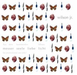 Album herunterladen Wilson Jr - Messer Seele Liebe Licht
