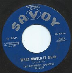 lataa albumi The Raymond Rasberry Singers - What Would It Mean