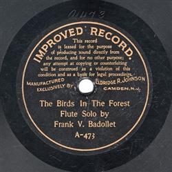 écouter en ligne Frank V Badollet - The Birds In The Forest