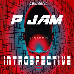 Download P Jam - Introspective