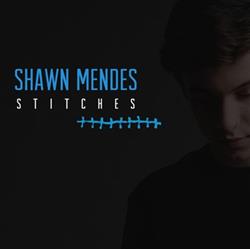 Download Shawn Mendes - Stitches