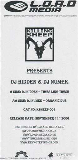 Download DJ Hidden DJ Numek - Times Like These Organic Dub