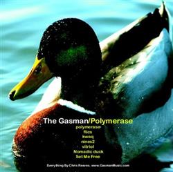 télécharger l'album The Gasman - Polymerase EP