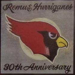 Remu & Hurriganes - 30th Anniversary