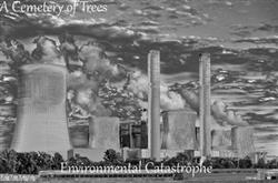 Download A Cemetery Of Trees - Environmental Catastrophe
