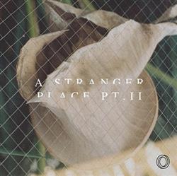 Download Oberst - A Stranger Place pt II