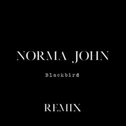 last ned album Norma John - Blackbird Remix