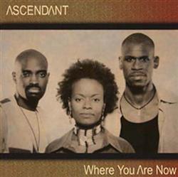 descargar álbum Ascendant - Where Are You Now