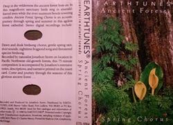 Album herunterladen Jonathon Storm - Ancient Forest Spring Chorus