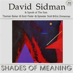 Download David Sidman & Speak Of The Sun - Shades Of Meaning