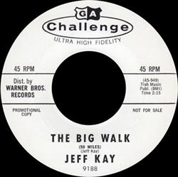 Download Jeff Kay - The Big Walk 50 Miles