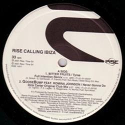 Download Various - Rise Calling Ibiza Sessione 2