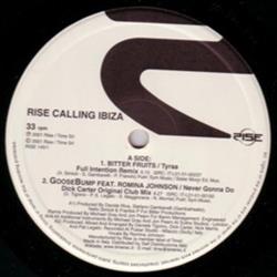 descargar álbum Various - Rise Calling Ibiza Sessione 2