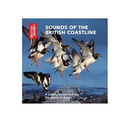ouvir online Various - Sounds Of The British Coastline